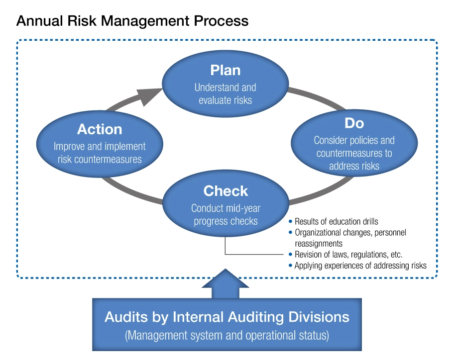 Annual Risk Management Process