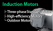 Induction Motors