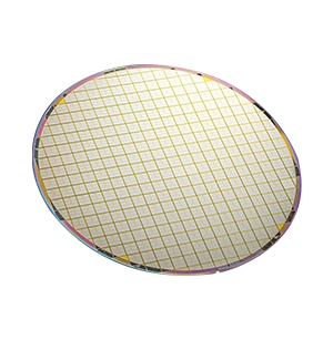 A wafer with electronic circuits formed on it