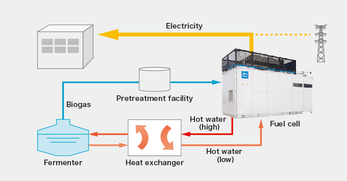 Digester gas fuel cell