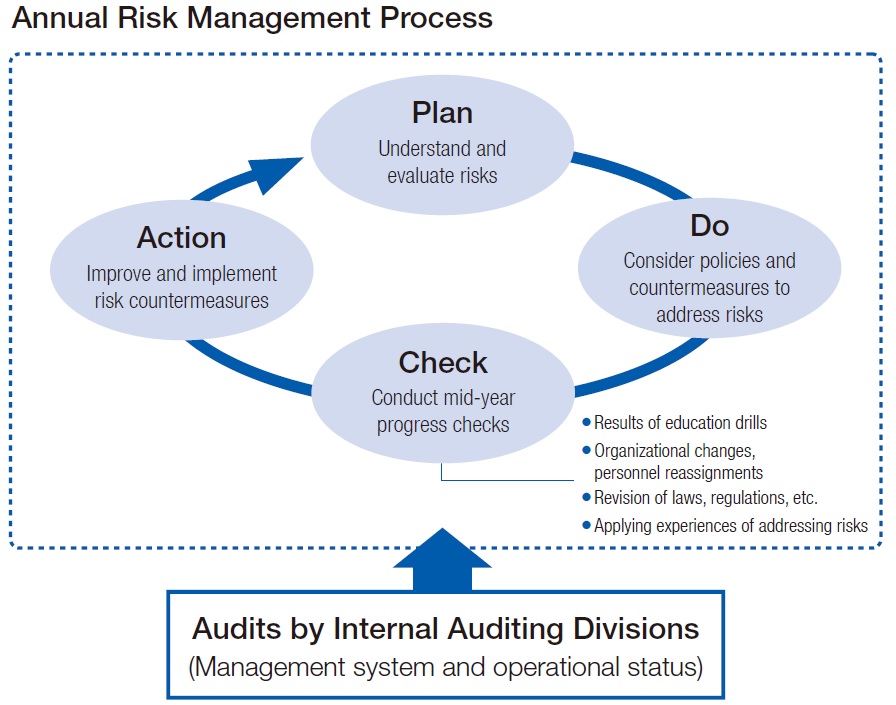 Annual Risk Management Process