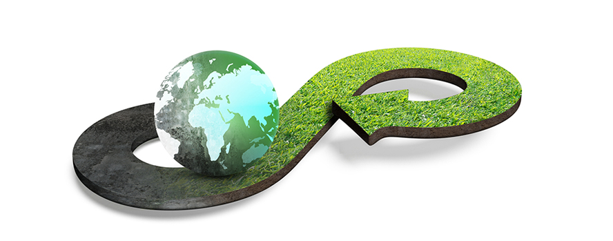 Environmental Impact Reduction Throughout the Supply Chain