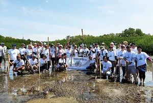 Mangrove Planting Activity