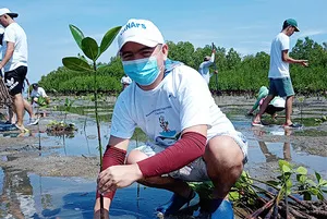 Mangrove Planting Activity