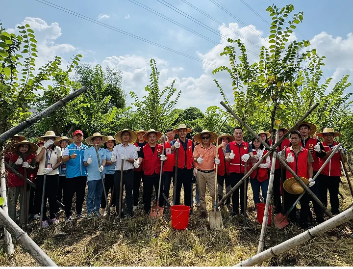 Forest Cultivation