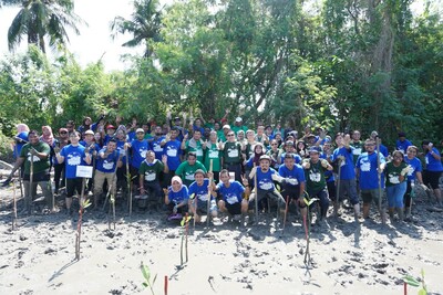 Mangrove planting