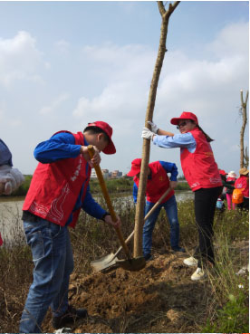 Tree-planting activities