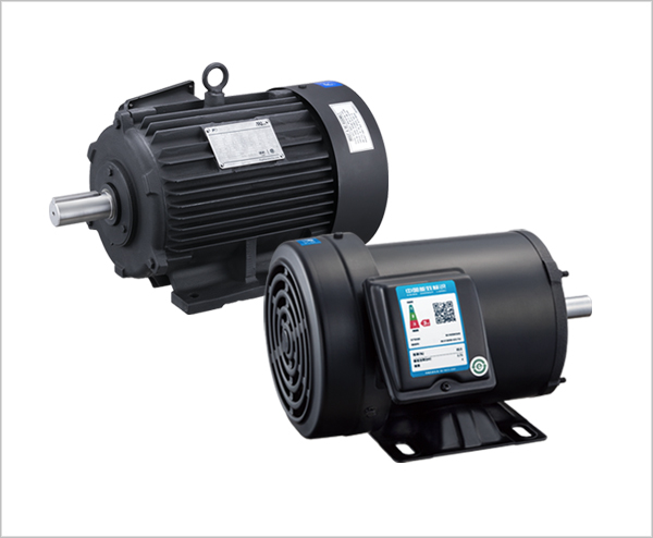 Overseas High Efficiency Regulations Compliant Motors