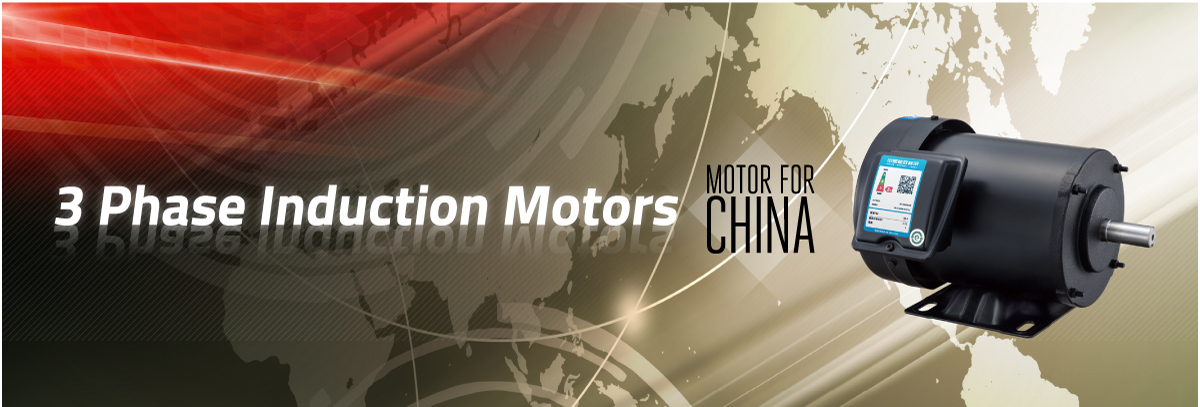 Three-phase Induction Motors (for China)