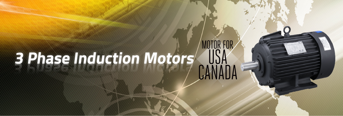 Three-phase Induction Motors (for USA/Canada)