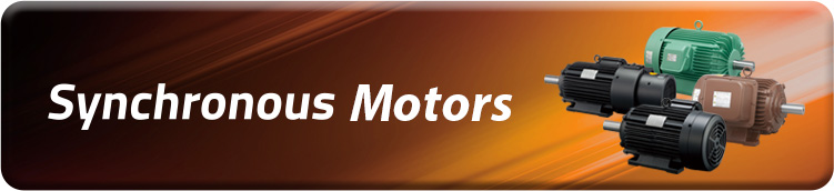 Synchronous Motors