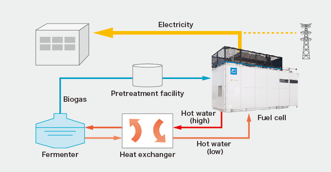 Biogas type