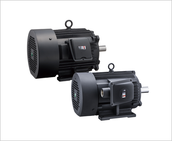 Low-Voltage Three-Phase Induction Motors