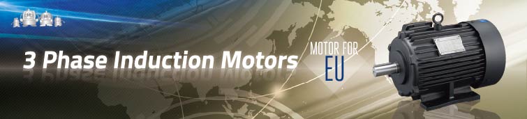 Three-phase Induction Motors