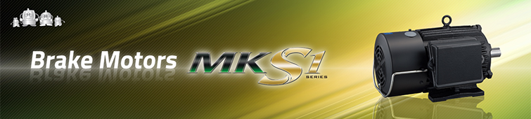 Brake Motors