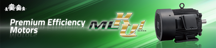 Premium Efficiency Motors