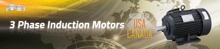 Three-phase Induction Motors
