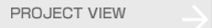 PROJECT VIEW