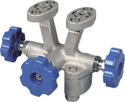 Equalizing Valve, Oval Flange <FFN, FFP>