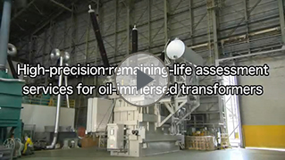 High-precision remaining-life assessent services for oil-immersed transformers