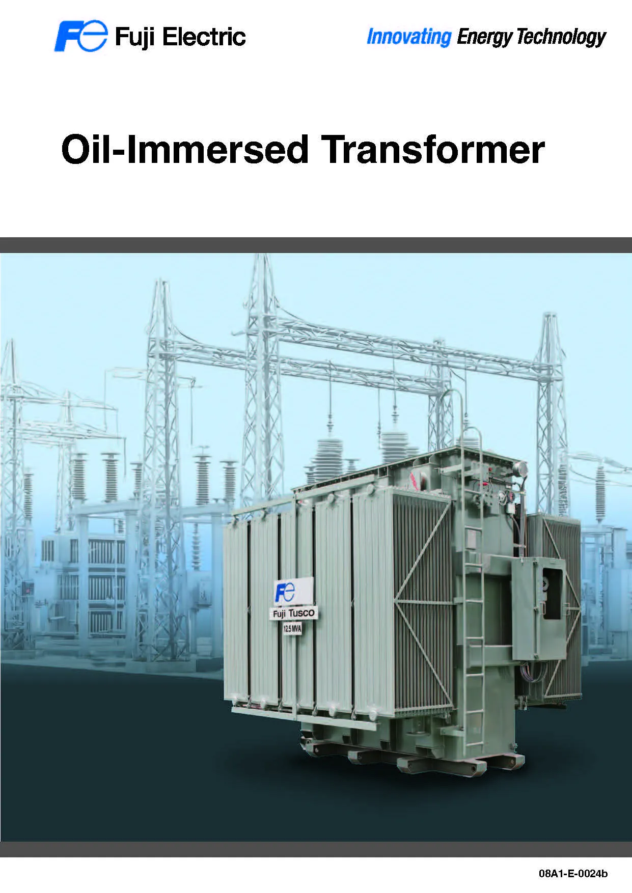 Oil immersed Transformer